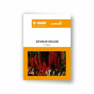 BASF Nunhems HOT PEPPER DEVNUR DELUXE (10 GM)