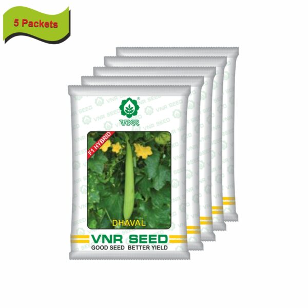 VNR Sponge Gourd dhaval hybrid (10 GM)(5 packets) - Image 2