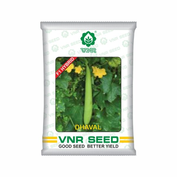 VNR Sponge Gourd dhaval hybrid (50 GM)
