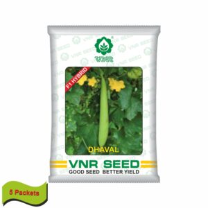 VNR Sponge Gourd dhaval hybrid (10 GM)(5 packets)