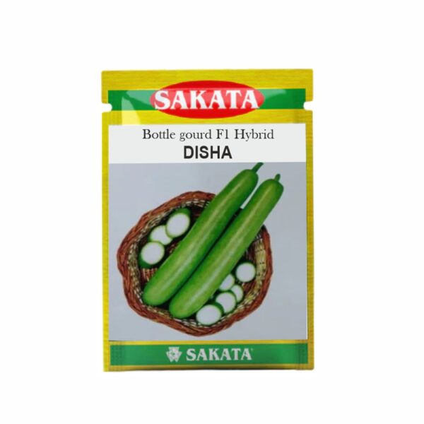 SAKATA BOTTLE GOURD F1 DISHA (8001 ) (50 GM) (POUCH)