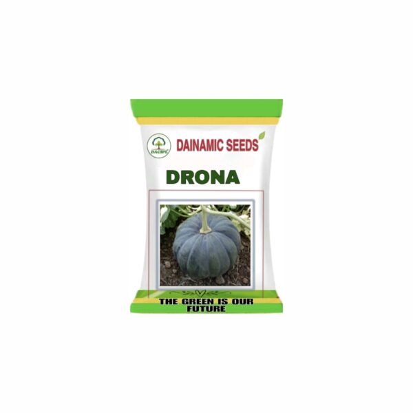 DAINAMIC PUMPKIN DRONA (50 gm)