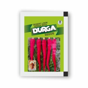 Durga carrot SEEDS (kitchen garden packet) (Minimum 10 packets)