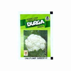 DURGA HYBRID CAULIFLOWER  DURGESH- 41 (10 gm) (10 PACKETS)