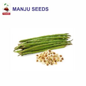 manju Drum Stick Pkm-1 seeds (1 KG)(PACK OF 10)