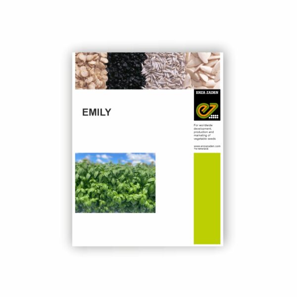 ENZA ZADEN BASIL EMILY (10GM)