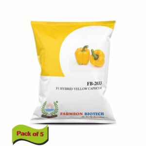 farmson FB-2033 (YELLOW CAPSICUM) F1 HYBRID CHILLI SEEDS (10 gm) (pack of 5)