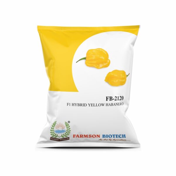 farmson FB-2120 (YELLOW HABANERO) F1 HYBRID CHILLI SEEDS(VERY HOT)(10 gm)