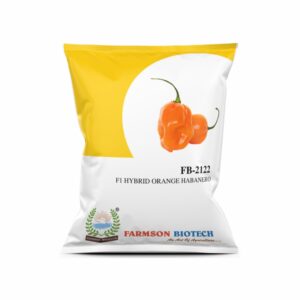 farmson FB-2122 (ORANGE HABANERO) F1 HYBRID CHILLI SEEDS (VERY HOT)(10 gm)