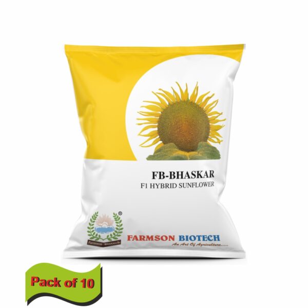 farmson FB-BHASKAR F1 HYBRID SUNFLOWER SEEDS (500 gm)(pack of 10)