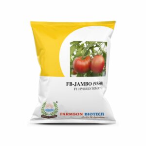 FARMSON FB-JAMBO (9350) F1 HYBRID TOMATO SEEDS (BIG ROUND AND RED) (10 gm)