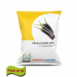 FARMSON FB-KALINDI (4093) F1 HYBRID BRINJAL (EGG PLANT) SEEDS (10 gm)(PACK OF 10)