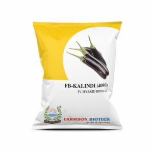 FARMSON FB-KALINDI (4093) F1 HYBRID BRINJAL (EGG PLANT) SEEDS (10 gm)