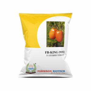 FARMSON FB-KING (9191) F1 HYBRID TOMATO SEEDS (SQUARE OVAL AND RED)(10 gm)
