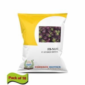 FARMSON FB-NAVI F1 HYBRID BRINJAL (EGG PLANT) SEEDS (10 gm)(pack of 10)