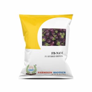 FARMSON FB-NAVI F1 HYBRID BRINJAL (EGG PLANT) SEEDS (10 gm)