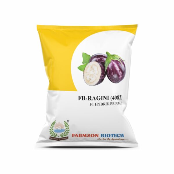 FARMSON FB-RAGINI (4082) F1 HYBRID BRINJAL (EGG PLANT) SEEDS (10 gm)