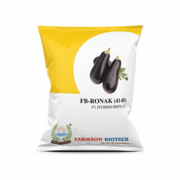 FARMSON FB-RONAK (4140) F1 HYBRID BRINJAL (EGG PLANT)(10 GM)