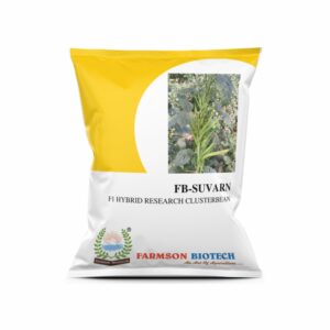 famson FB-SUVARN RESEARCH CLUSTER BEAN SEEDS (500 gm)
