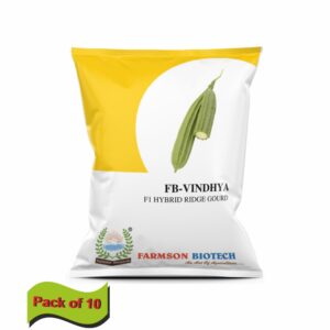 FARMSON FB-VINDHYA F1 HYBRID RIDGE GOURD SEEDS(10 gm)(packs of 10)