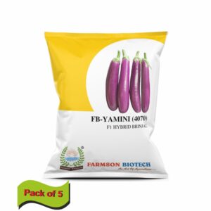 FARMSON FB-YAMINI (4070) F1 HYBRID BRINJAL(EGG PLANT) SEEDS(10 gm)(pack of 5)