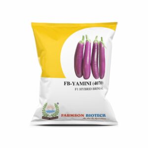 FARMSON FB-YAMINI (4070) F1 HYBRID BRINJAL (EGG PLANT) SEEDS(10 gm)