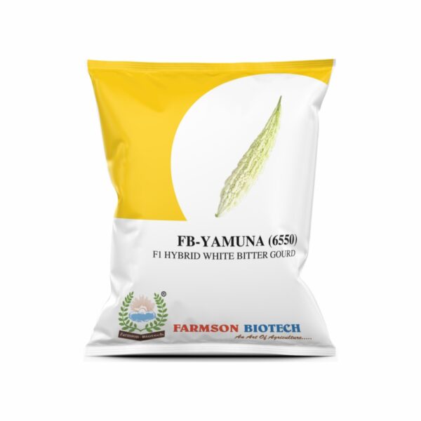 FARMSON FB-YAMUNA (6550) F1 HYBRID WHITE BITTER GOURD SEEDS (LONG)(10 GM)