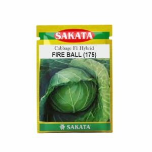 SAKATA CABBAGE F1 FIRE BALL  (175) (10 GM) (POUCH)