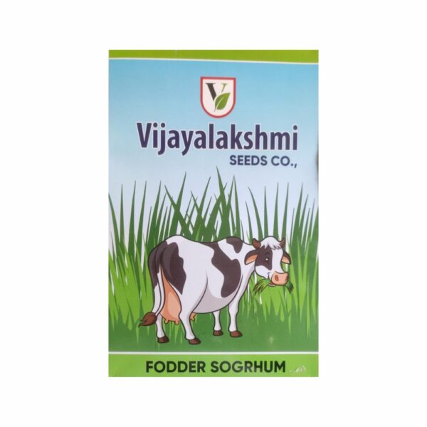 manju Fodder Sogrhum seeds (1 KG)(PACK OF 100)