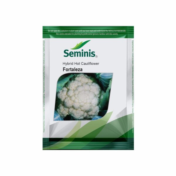 SEMINIS HYBRID CAULIFLOWER FORTALEZA (2000 SEEDS)