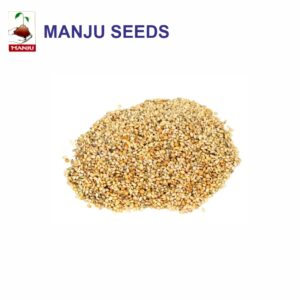 manju Foxtail(Millet) seeds (1 KG)(PACK OF 25)