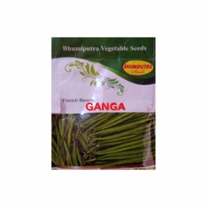 BHUMIPUTRA OP French Beans Ganga seeds (500 gm)