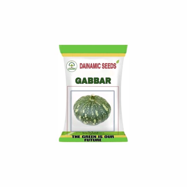 DAINAMIC PUMPKIN GABBAR (50 gm)