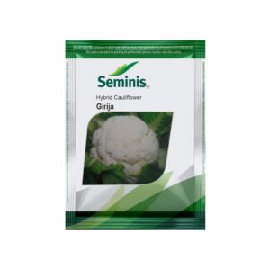 SEMINIS Cauliflower Girija (10 GM)