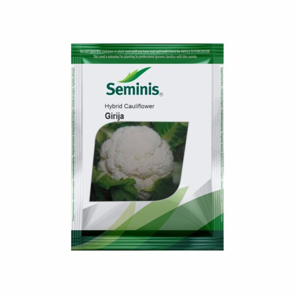 SEMINIS Cauliflower Girija (10 GM)