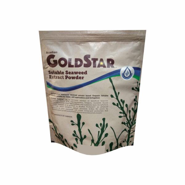 Bhanu Gold Star (300 gm)