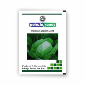 PAHUJA cabbage ( GOLDEN ACRE ) – 50 GMS