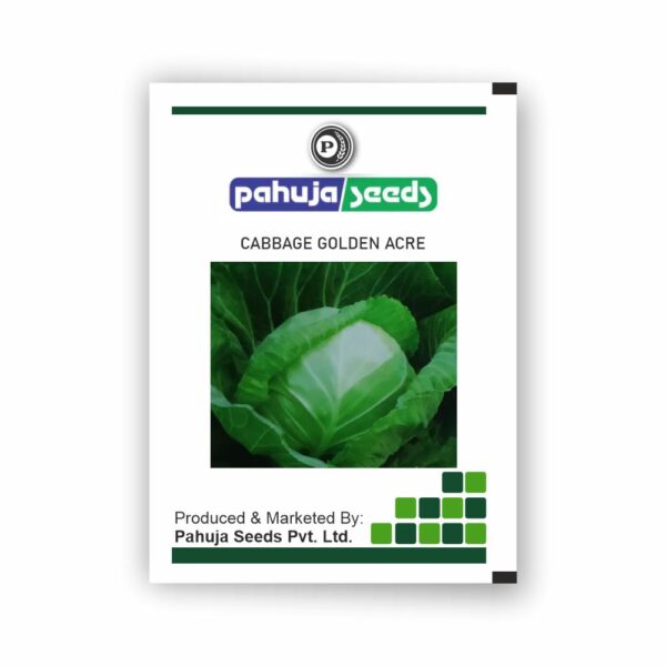 PAHUJA cabbage ( GOLDEN ACRE ) - 50 GMS