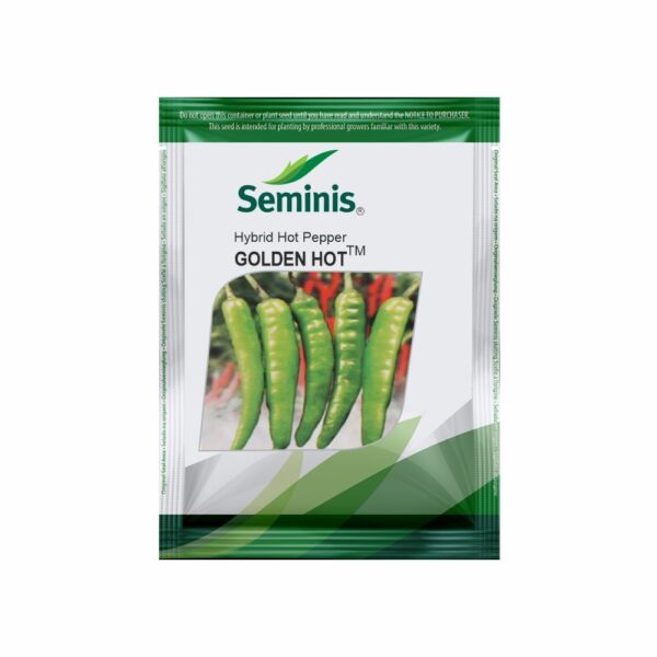 SEMINIS CHILLI GOLDEN HOT (10 GM)