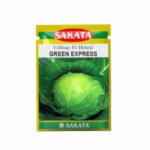 SAKATA CABBAGE F1 GREEN EXPRESS (100 GM) (POUCH)
