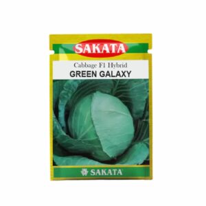 SAKATA CABBAGE F1 GREEN GALXY (10 GM) (POUCH)