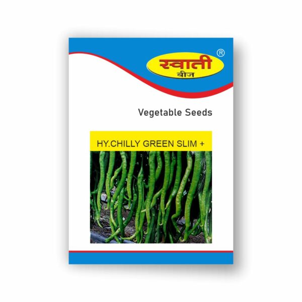 SWATI HY.CHILLI GREEN SLIM PLUS (10 GM)