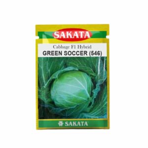 SAKATA CABBAGE F1 GREEN SOCCER (546) (10 GM) (POUCH)