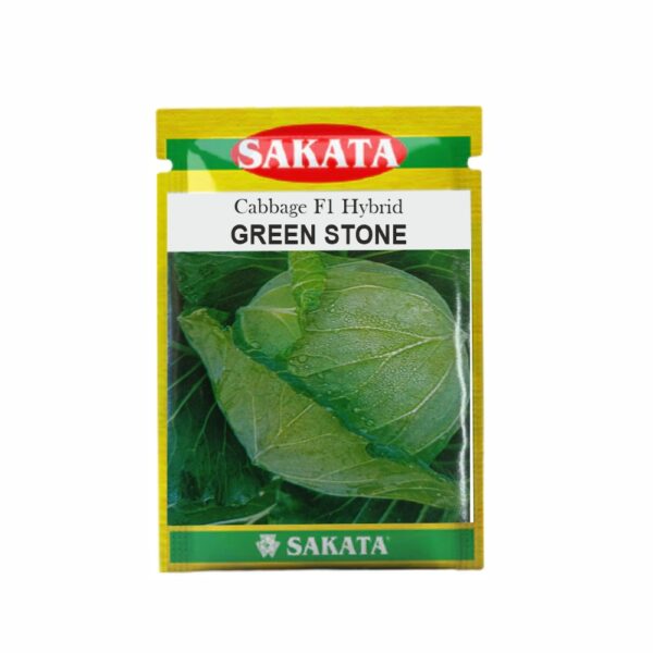 SAKATA CABBAGE F1 GREEN STONE (10 GM) (POUCH)
