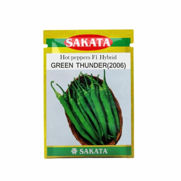 SAKATA HOT PEPPER F1 GREEN THUNDER (2006) (2000 SEEDS) (POUCH)