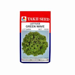 Hybrid Lettuce Green Wave Seeds (10 GM)
