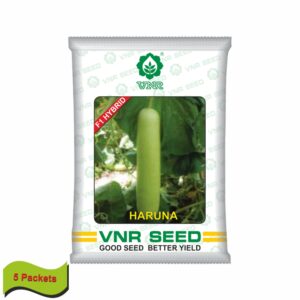 VNR Bottle gourd hybrid HARUNA (10 GM)(5 packets)