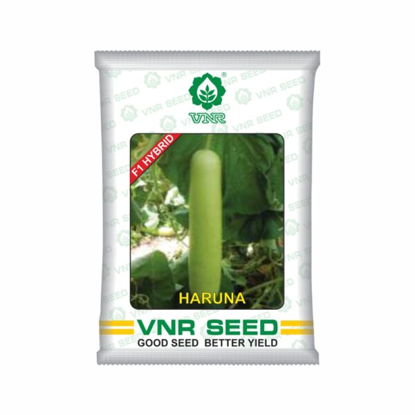 VNR Bottle gourd hybrid HARUNA (50 GM)