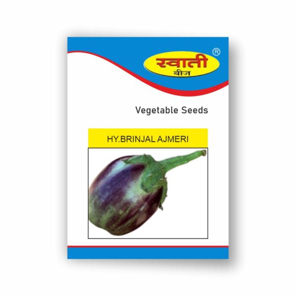 SWATI BRINJAL AJMERI (10 GM)