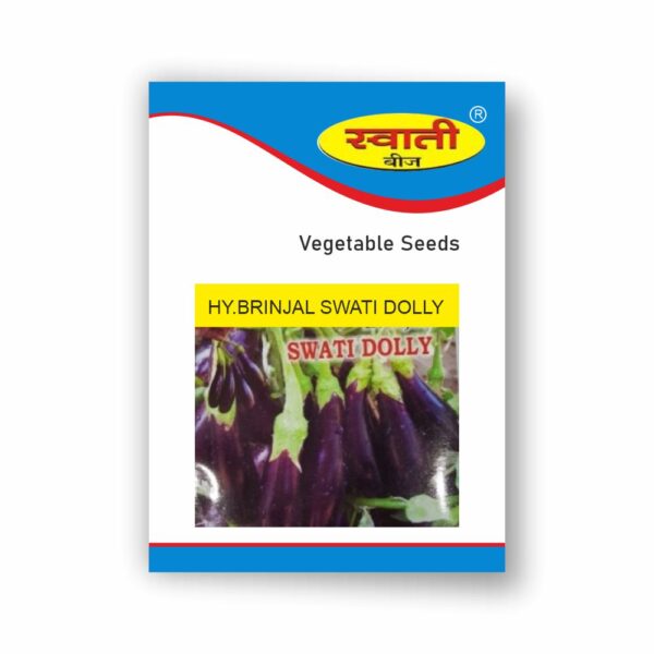 SWATI BRINJAL DOLLY (10 GM)